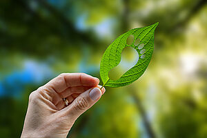 Une empreinte de pas découpée dans une feuille verte : représentation de notre responsabilité écologique. Nous réduisons nos émissions de carbone grâce à des économies de papier substantielles et préservons ainsi l’environnement.
