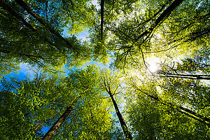 Responsible for Tomorrow et FIOR & GENTZ. La durabilité et la protection du climat sont fermement ancrées dans notre stratégie d’entreprise. Nous assumons nos responsabilités concernant l’avenir et l’environnement et visons à utiliser nos ressources plus efficacement ainsi qu’à éviter le gaspillage.