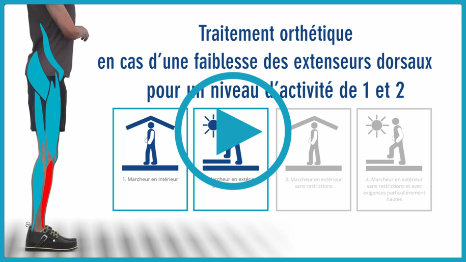Vidéo décrivant le fonctionnement des muscles du releveur de pied fléchisseurs dorsaux. La paralysie des fléchisseurs dorsaux provoque la paralysie du nerf péronier paralysie du nerf sciatique poplité externe déficit du releveur de pied et ainsi le pied ballant pied bot équin, ce qui conduit à un trébuchement en marchant et une marche avec circumduction et déhanchement soulèvement de la hanche. Un dispositif médical orthèse AFO avec articulation d’orthèse NEURO VARIO SPRING 2 permet d’améliorer la marche et d’empêcher tout trébuchement. La butée dorsale réglable permet de régler progressivement la conception de l’orthèse.