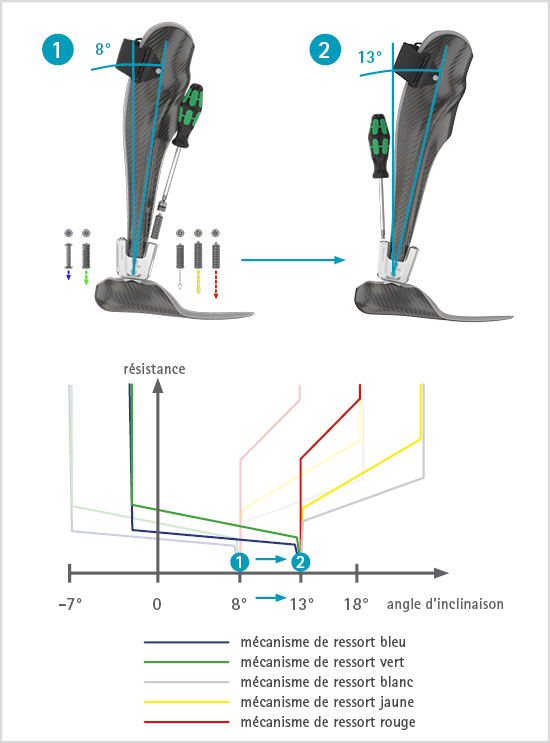Le graphique illustre le glissement des courbes de ressort caractéristiques en cas de changement de l’angle jambe inférieure/verticale. Les réglages sont indépendants les uns des autres, l’interchangeabilité des différents mécanismes de ressort précomprimés offre de nombreuses possibilités d’ajuster la résistance de l’articulation de cheville modulaire NEURO SWING de manière individuelle.
